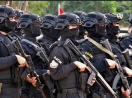 red de espionaje de maduro en Argentina