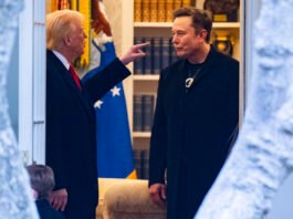 Trump y Elon Musk