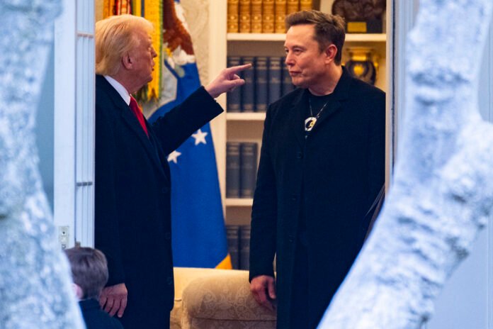 Trump y Elon Musk